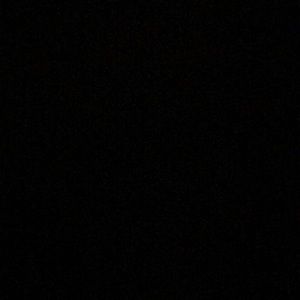 Meet your Posher, Martha